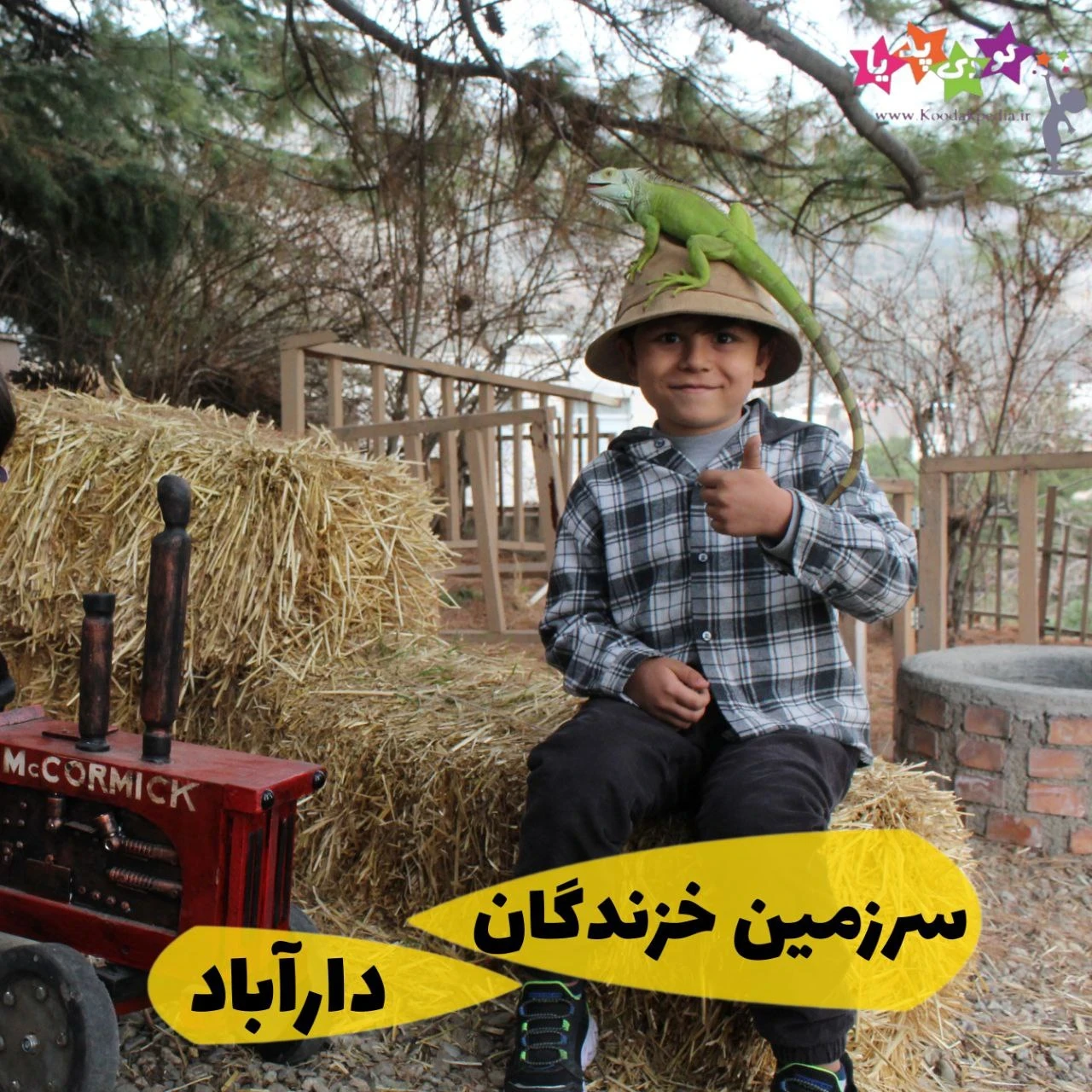 تخفیف سرزمین خزندگان دارآباد
